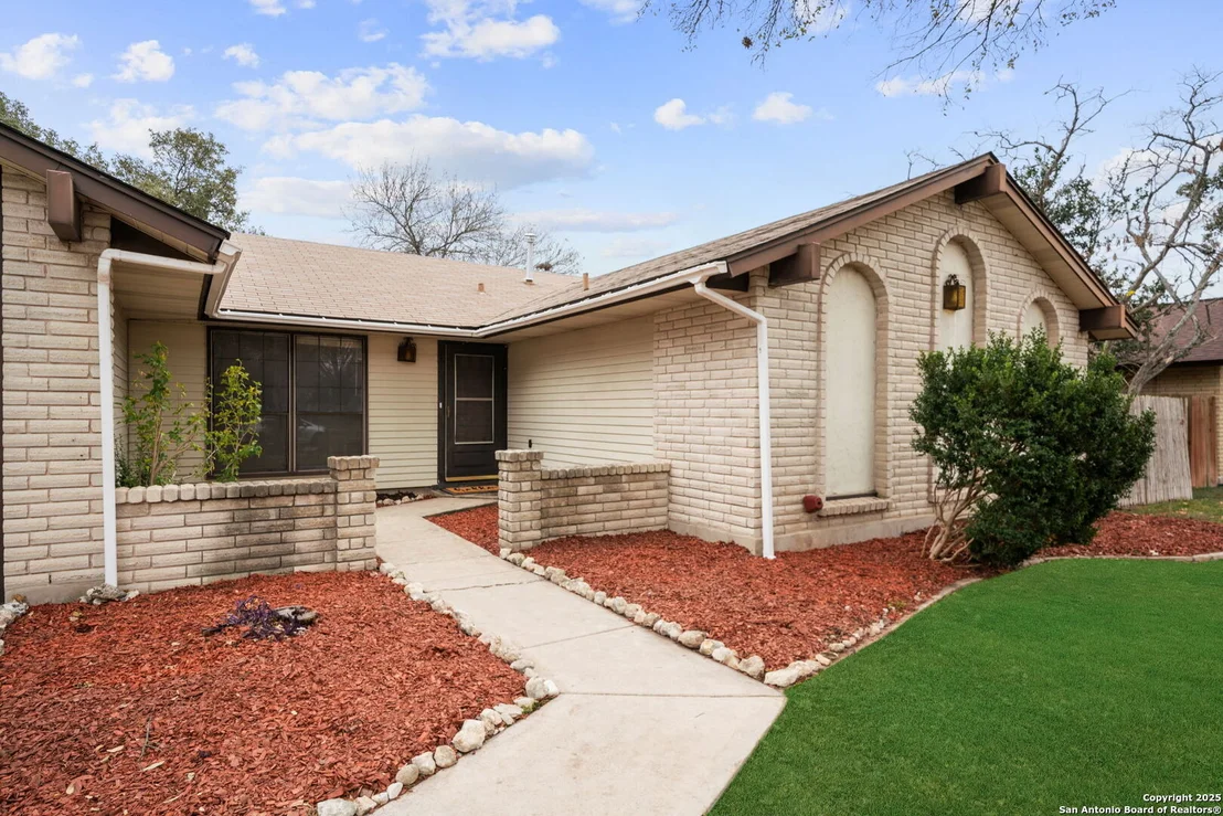 Photo of 1606 forest spring