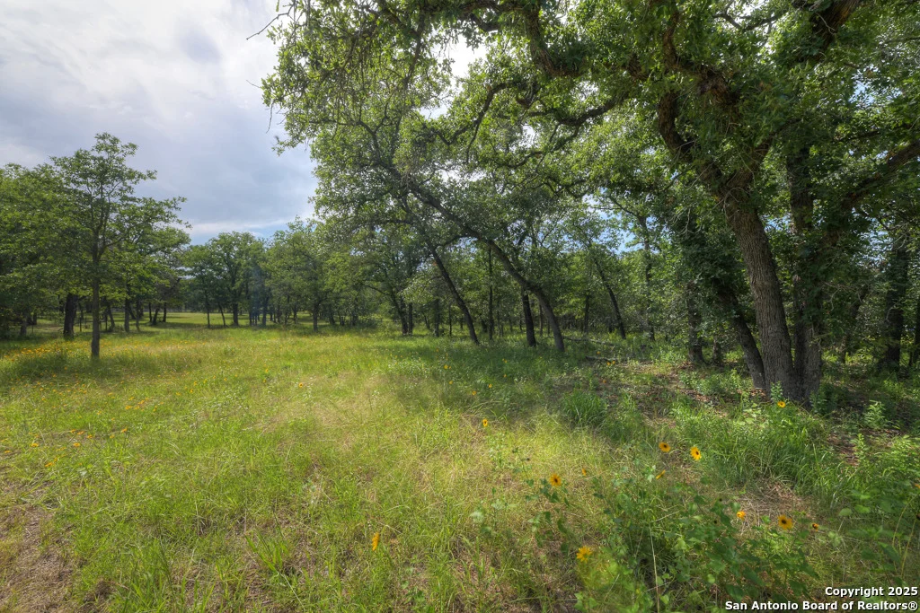 Photo of 268 oak view