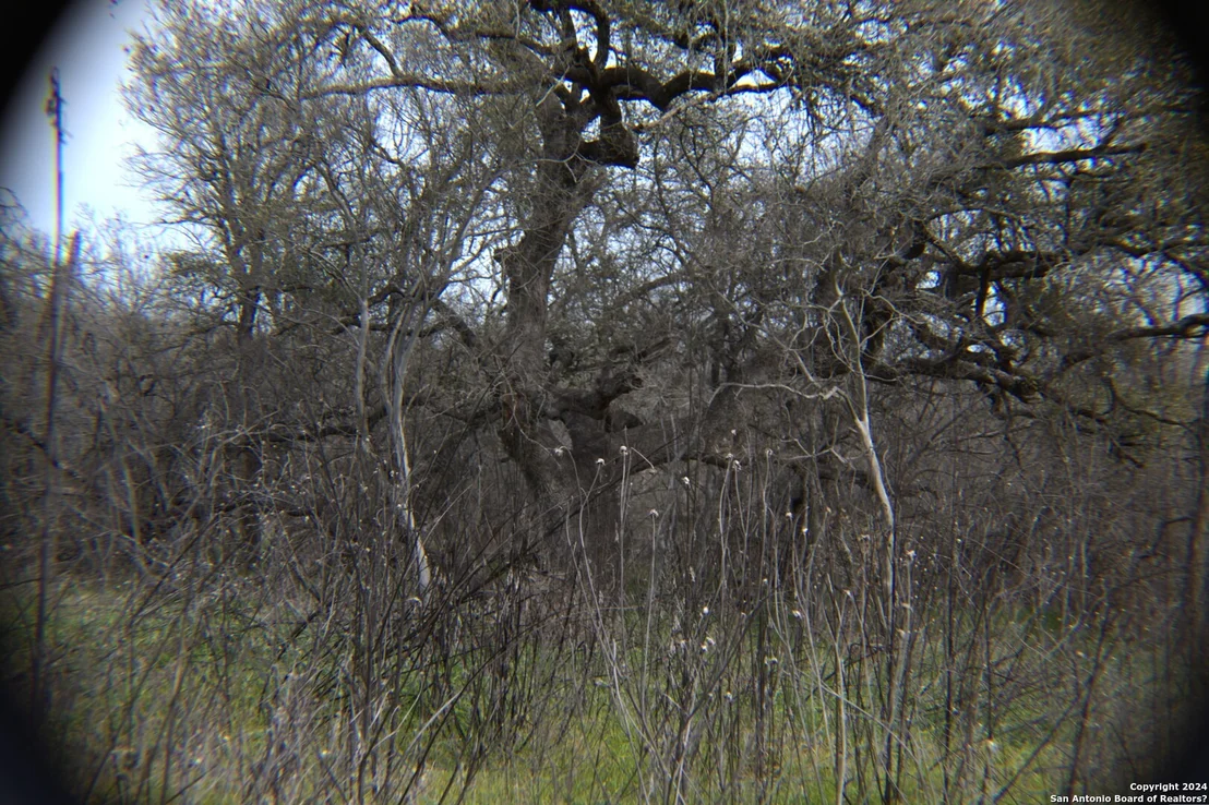 Photo of 000 County Road 562