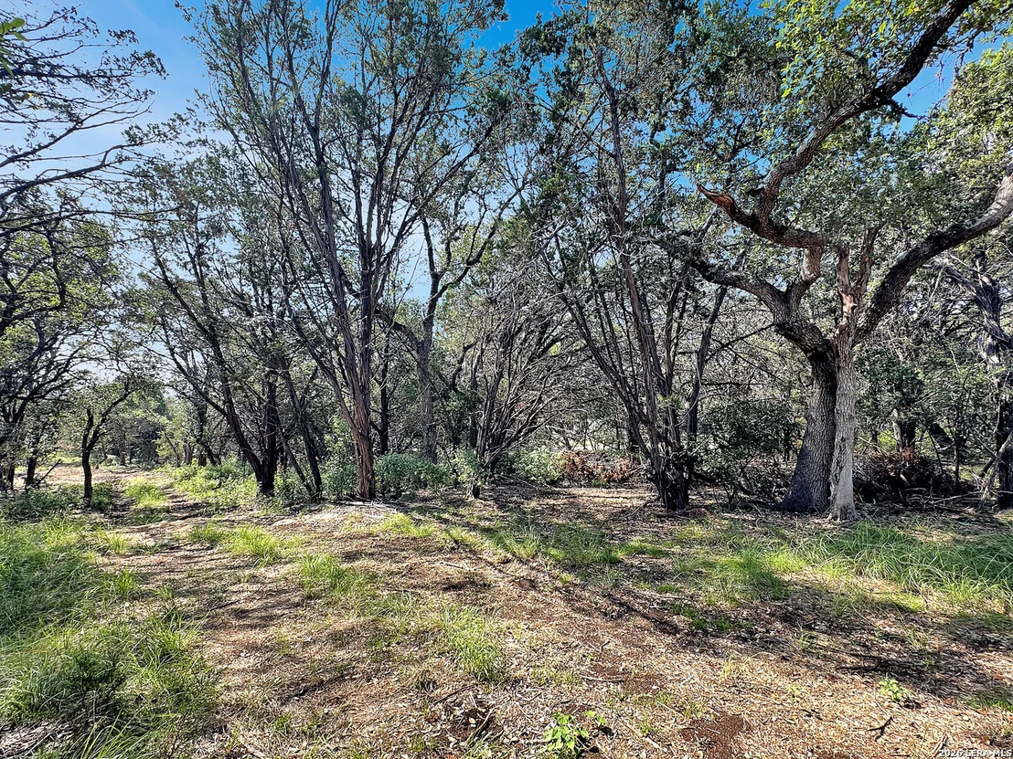 Photo of 197 SPRING MOUNTAIN DR