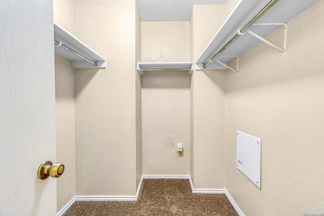 Photo of 131 BOOKER PALM