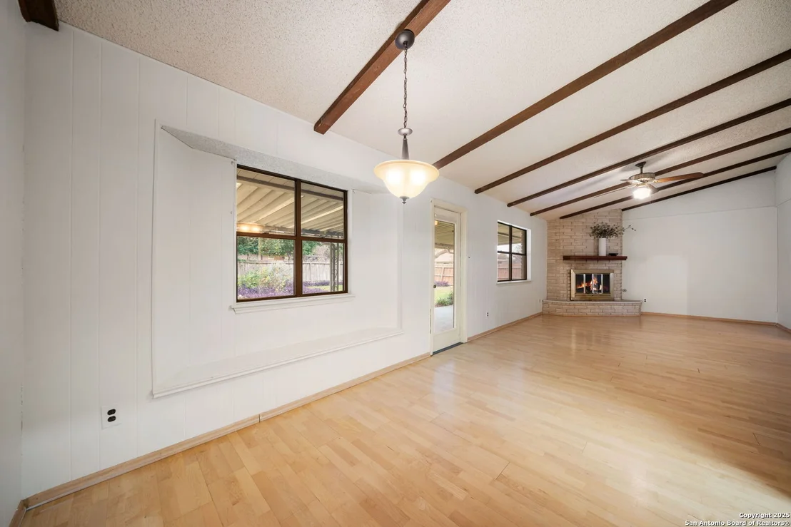 Photo of 1606 forest spring