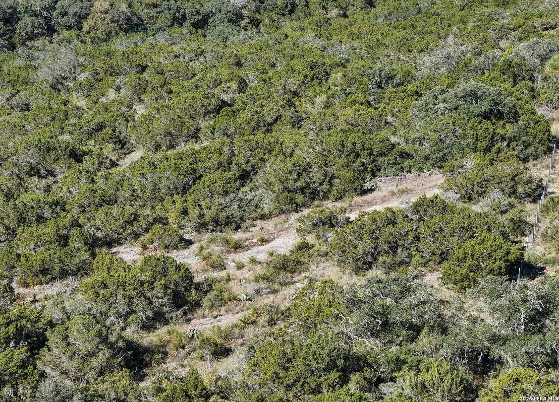 Photo of 219 County Road 2741