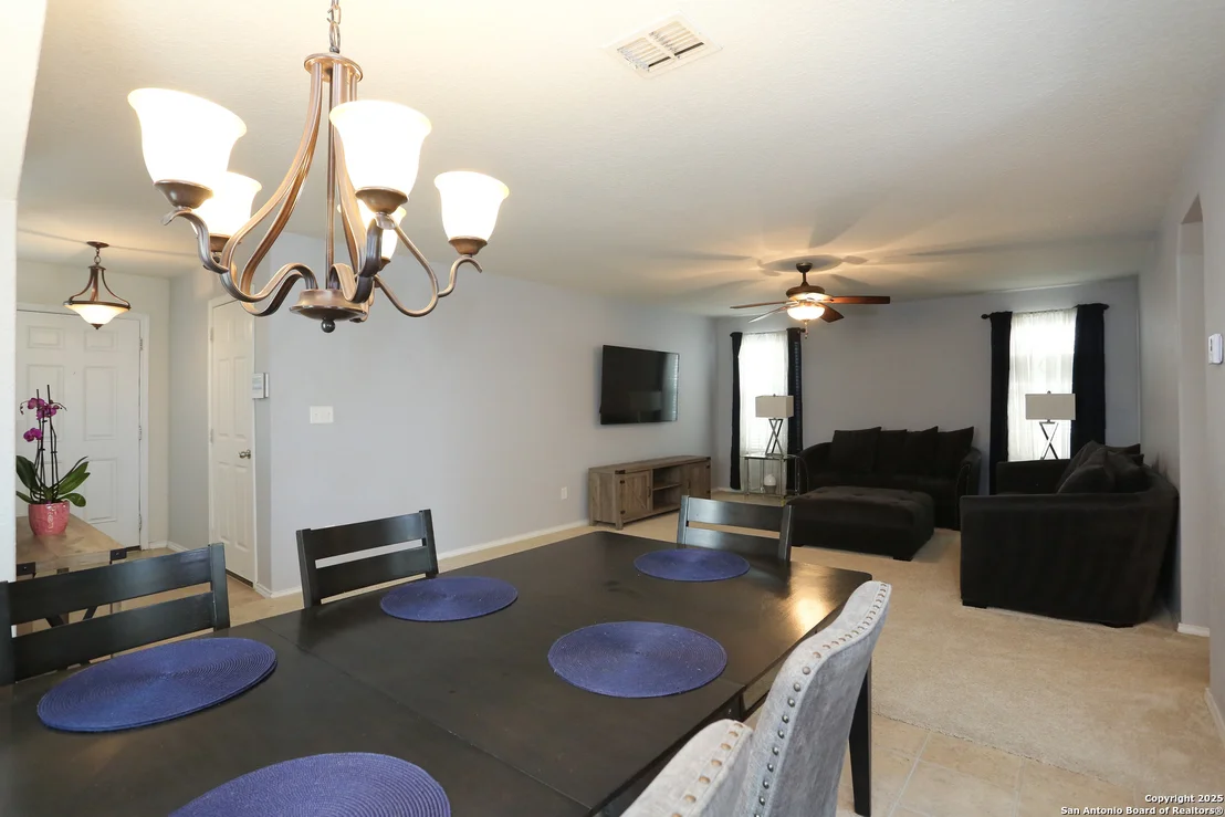 Photo of 142 Prato Palma