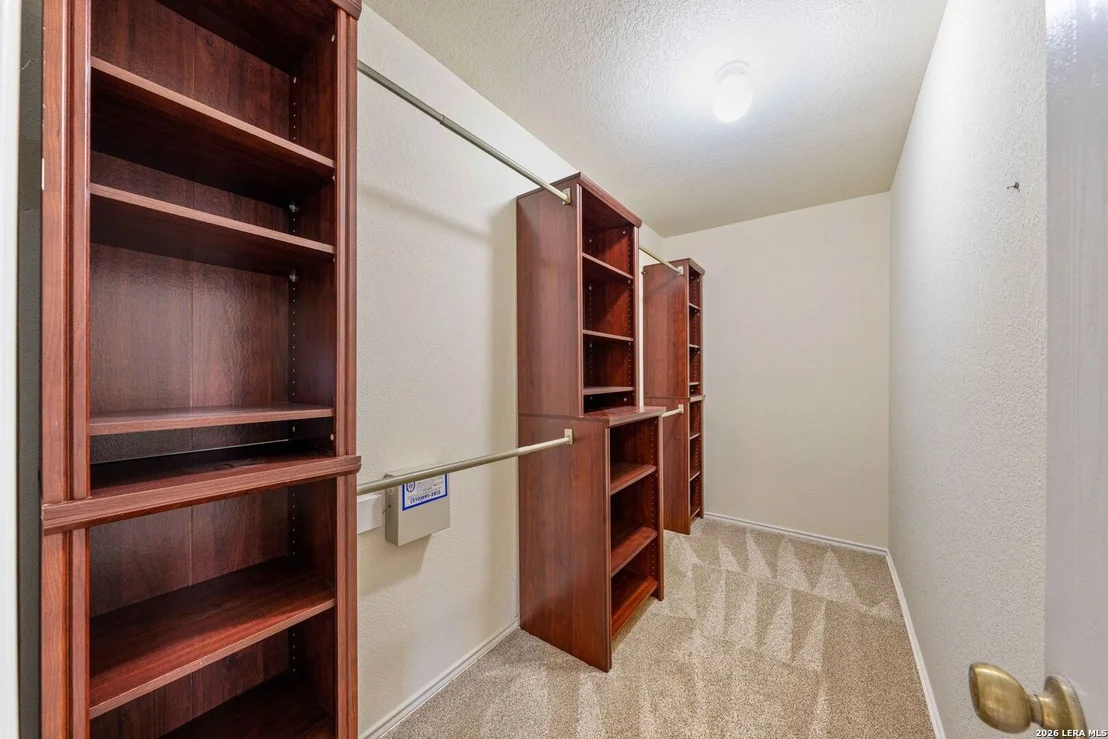 Photo of 4963 Ancient Elm
