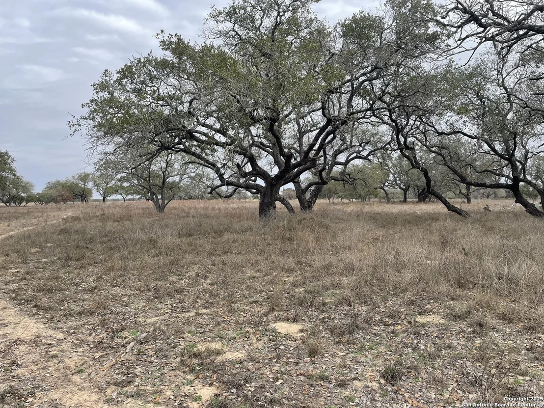 Photo of TRACT 10 COUNTY ROAD 777