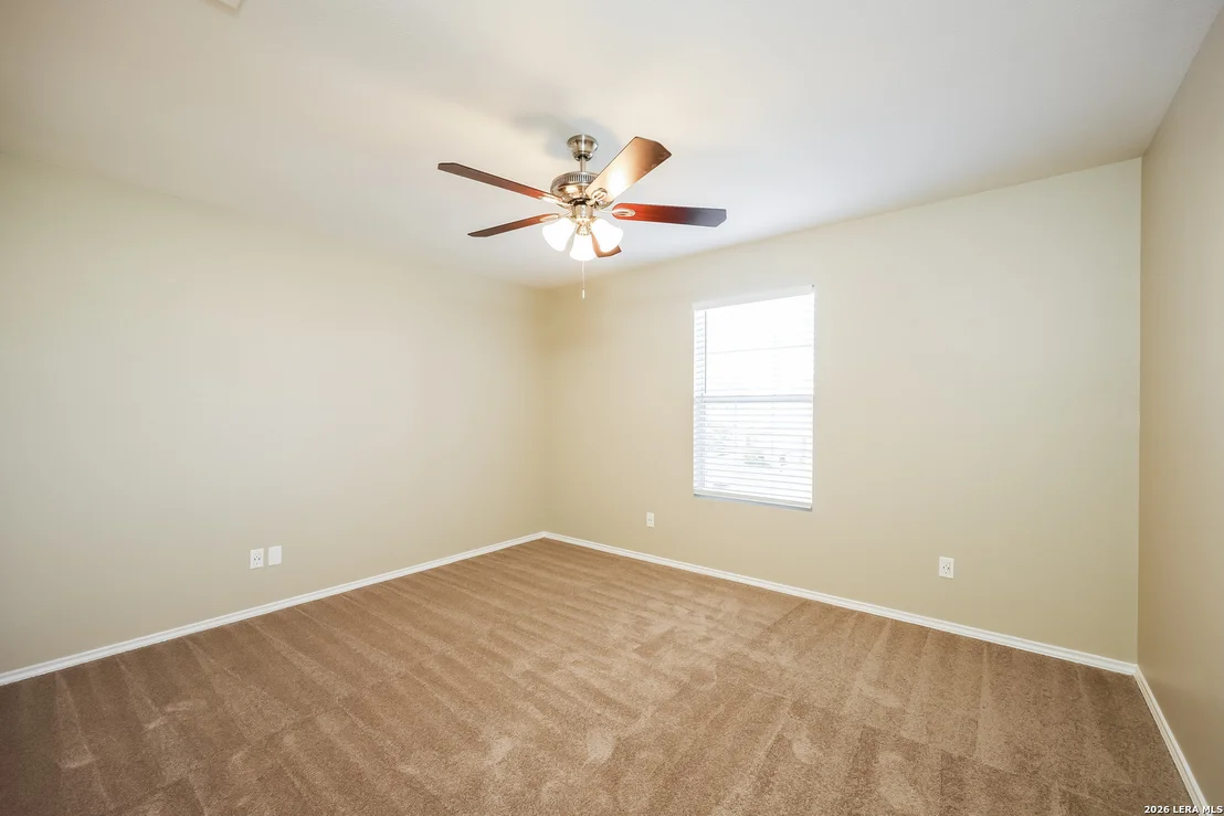Photo of 122 Blue Juniper