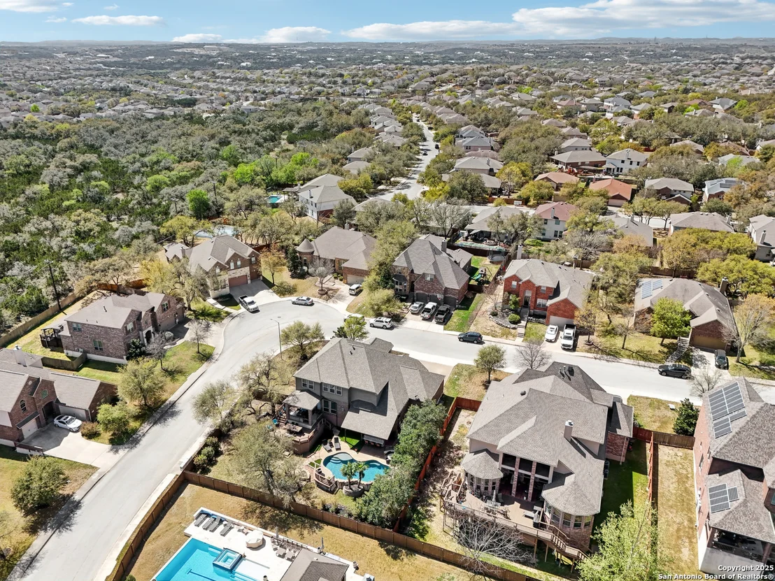Photo of 25612 Santolina