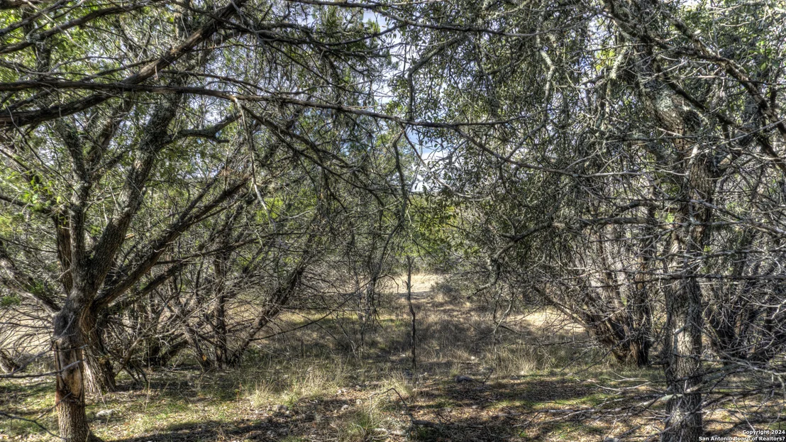 Photo of 22 SQUIRREL BEND