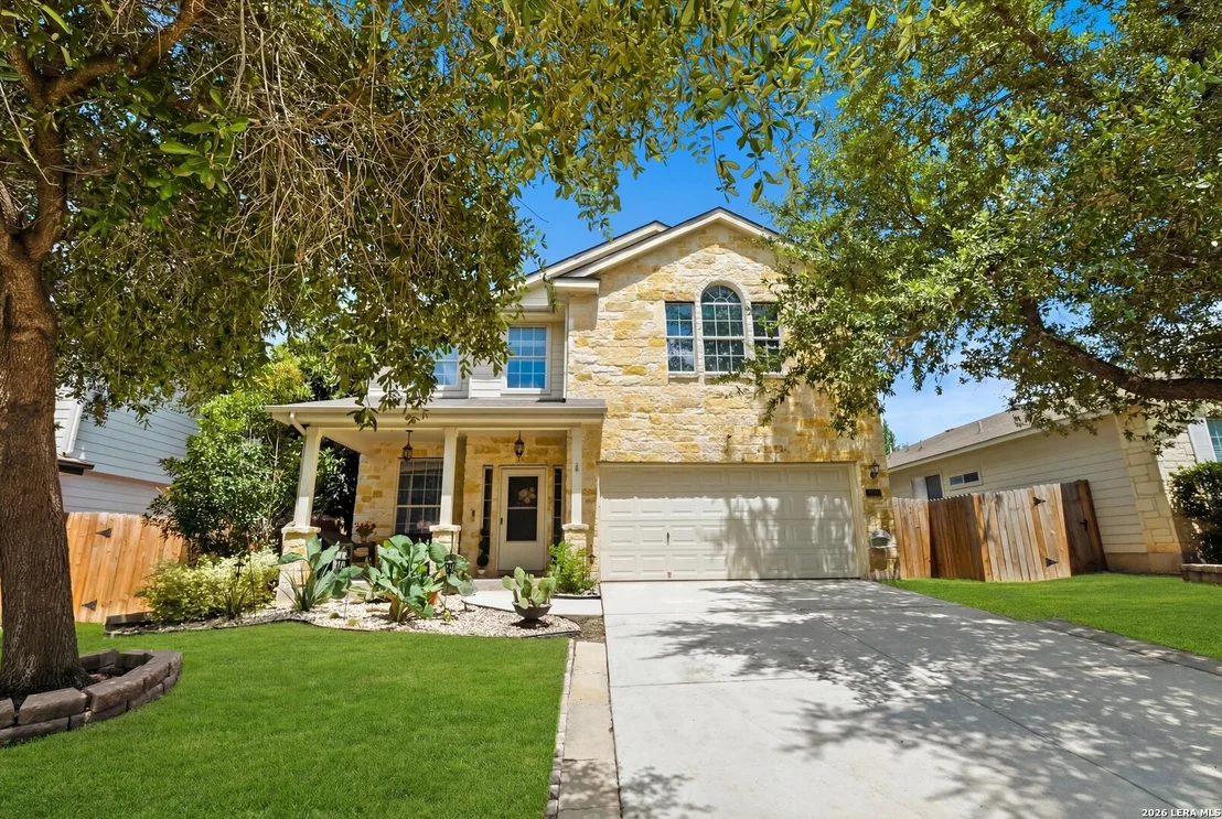 Photo of 802 Celosia