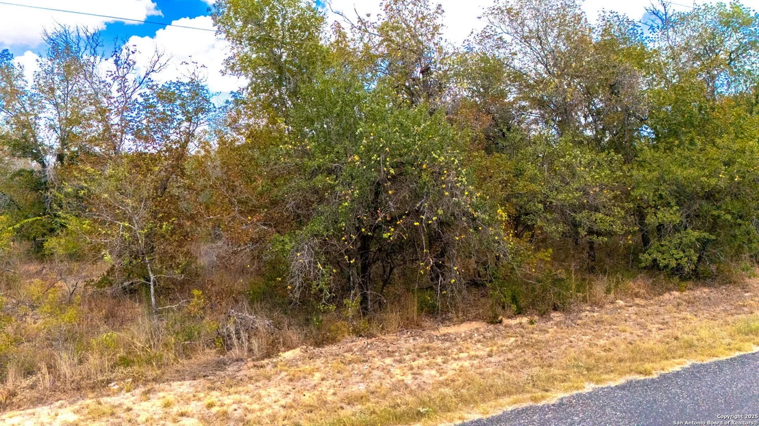 Photo of LOT 24 Workman