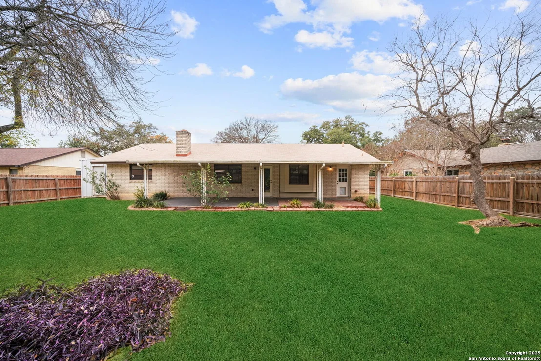 Photo of 1606 forest spring