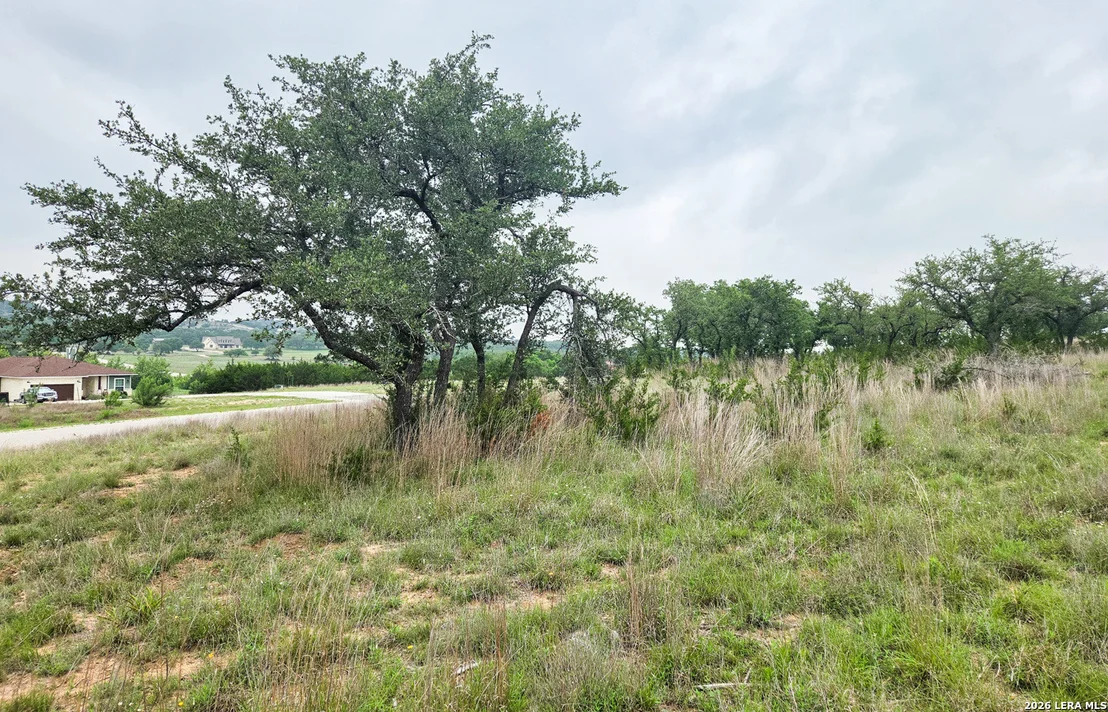 Photo of TBD Falling Oak