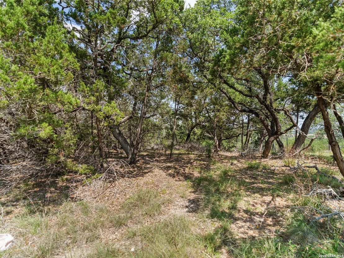 Photo of 242 Ridge PT