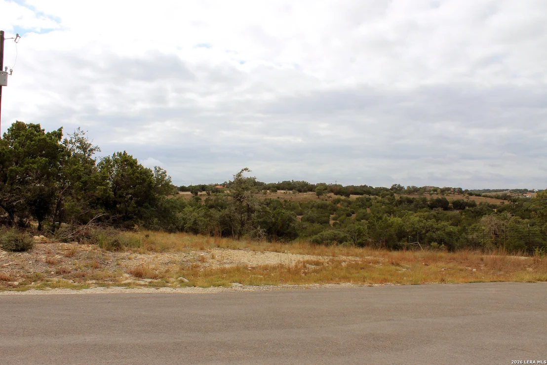 Photo of 291 Stargrass