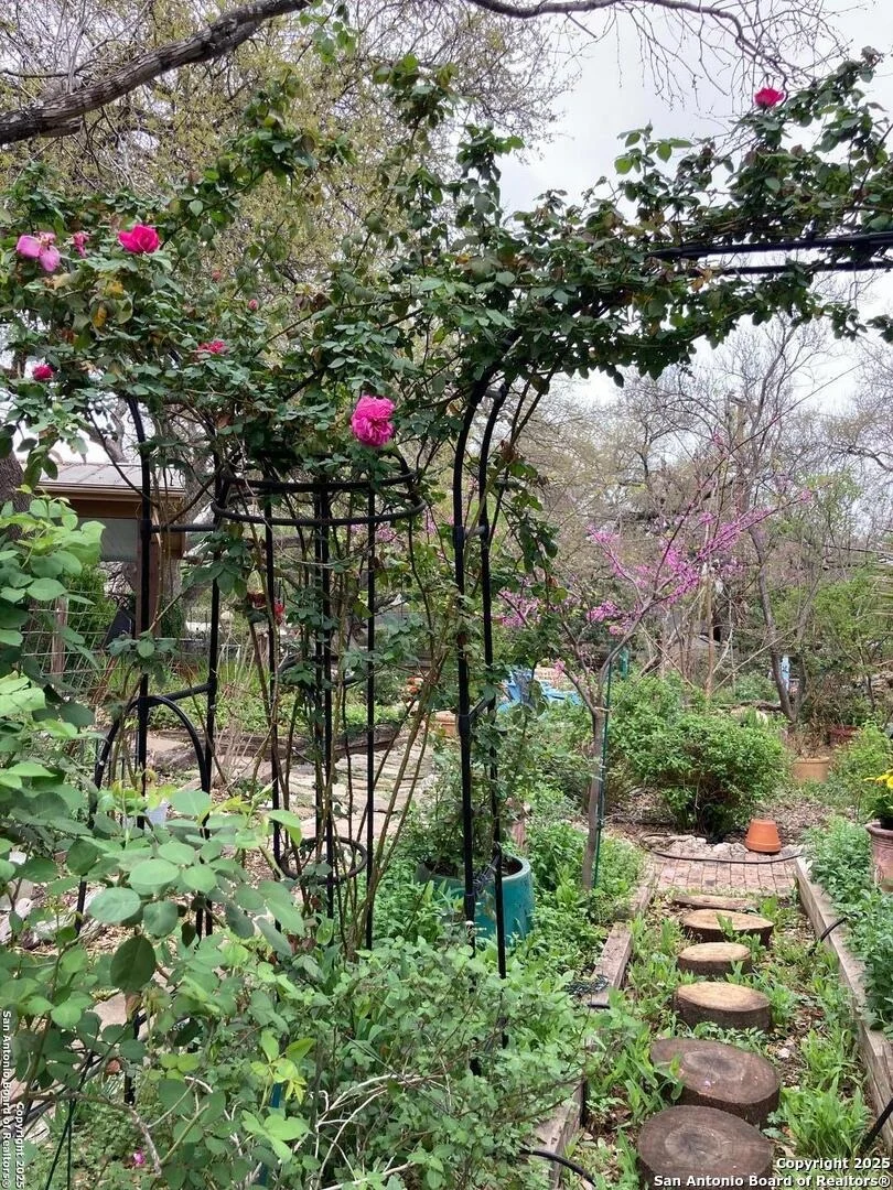 Photo of 2938 Chisolm Trail