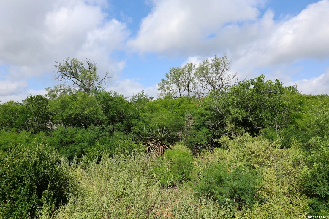 Photo of 8711 County Road 1301