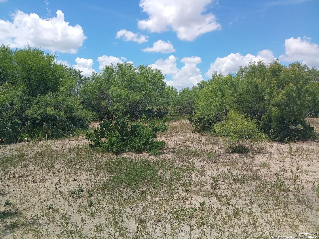 Photo of 137 County Road 302