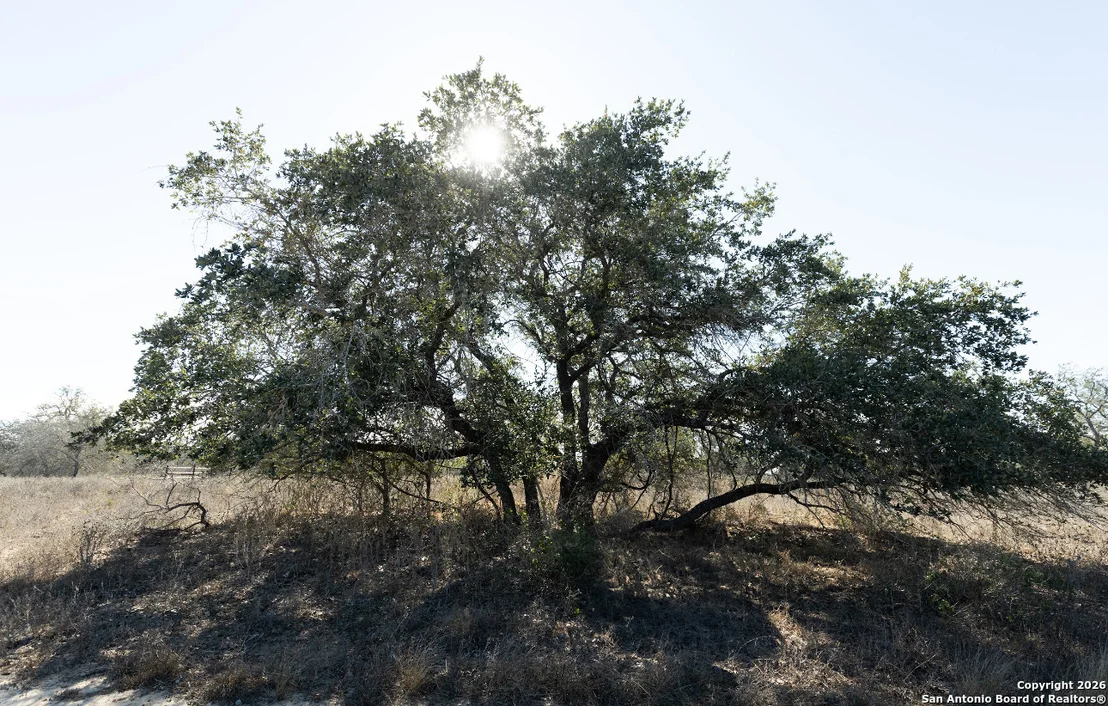 Photo of 2739 CR 770