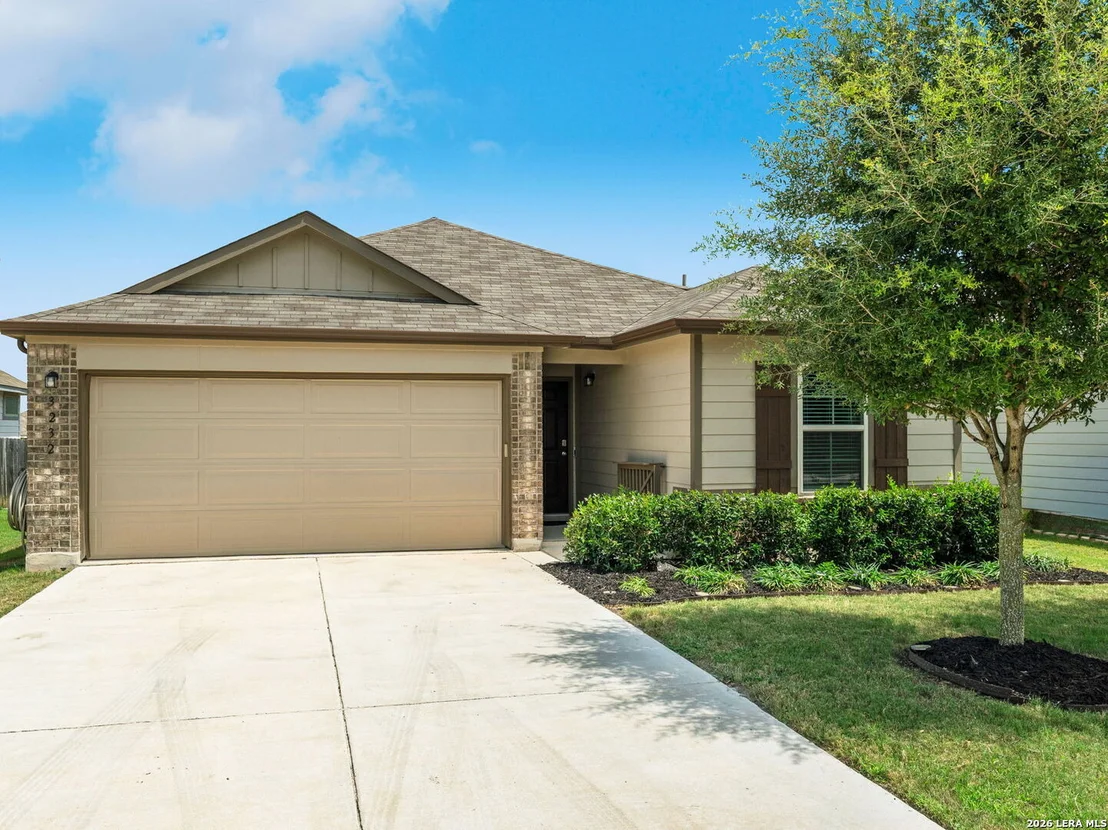 Photo of 3232 Field Thistle