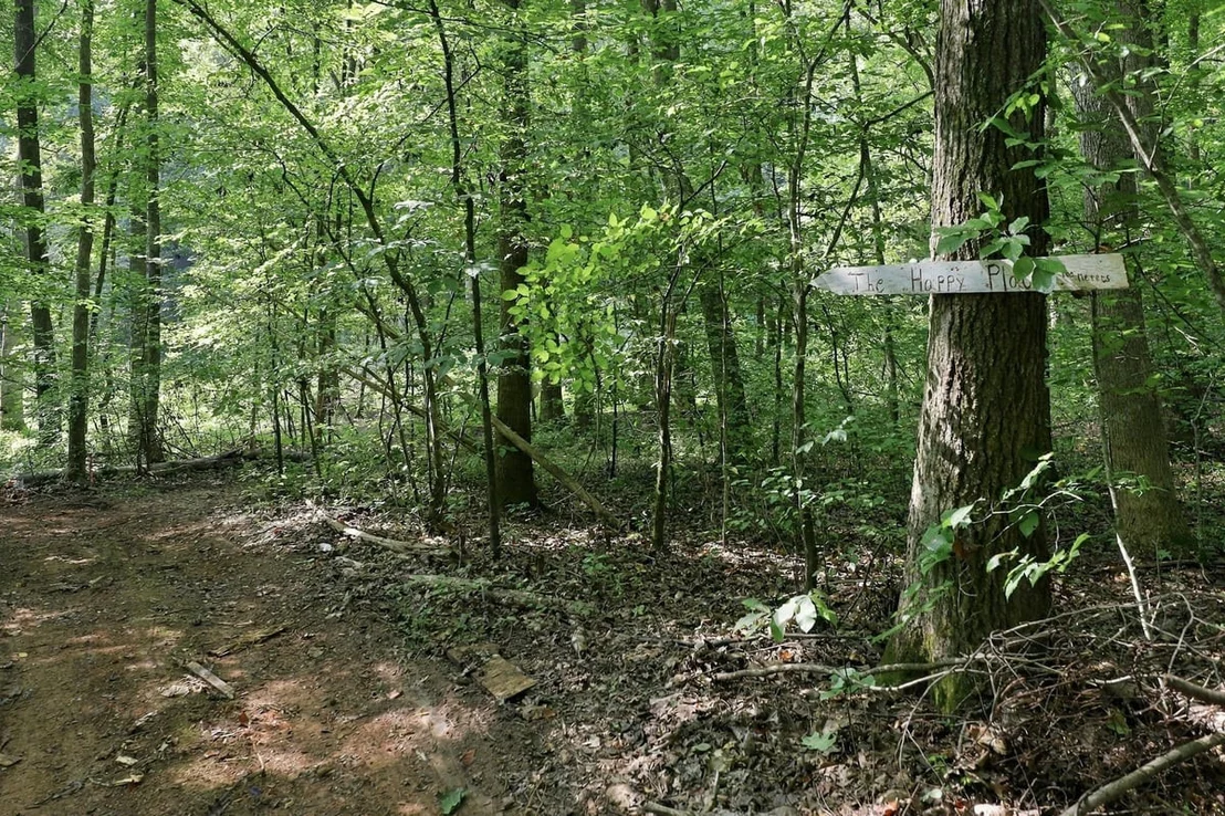 Photo of 4592 Boogaboo Trail