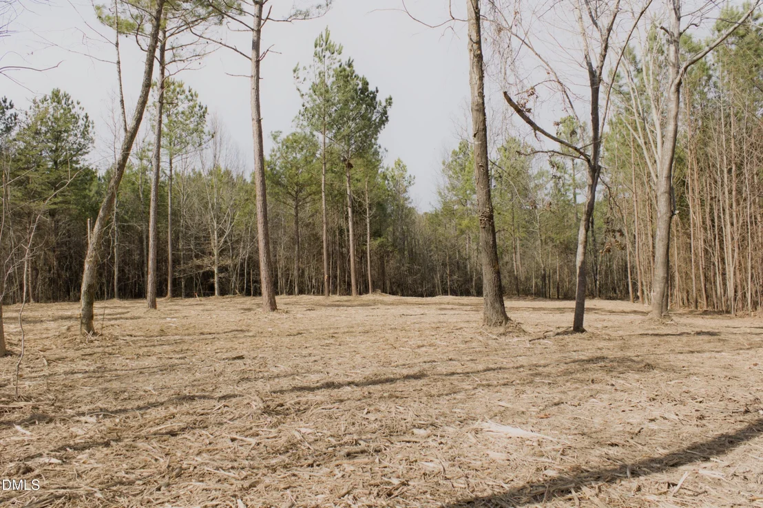 Photo of Lot 00 John Snipes Road