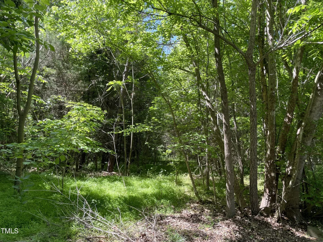 Photo of 39 Thompson Road