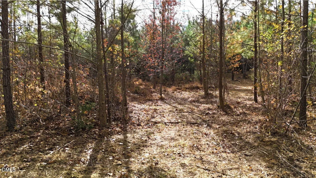 Photo of Lot 4 Bessie Daniel Road