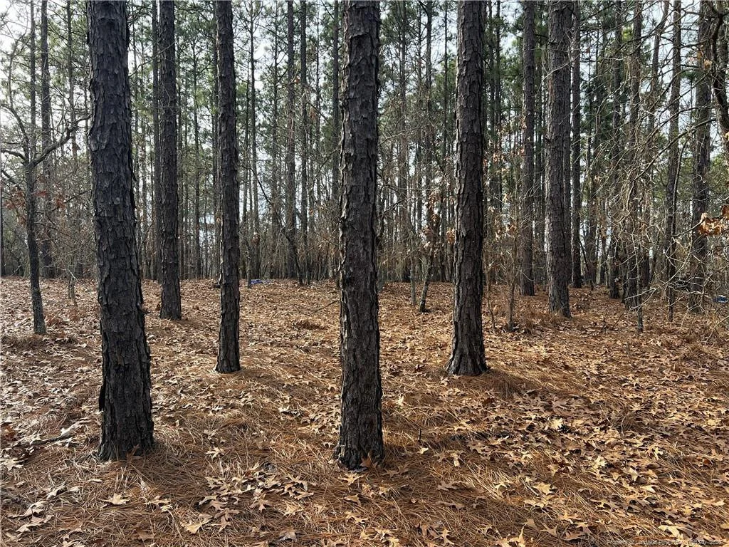 Photo of 350 Lakeview Lane