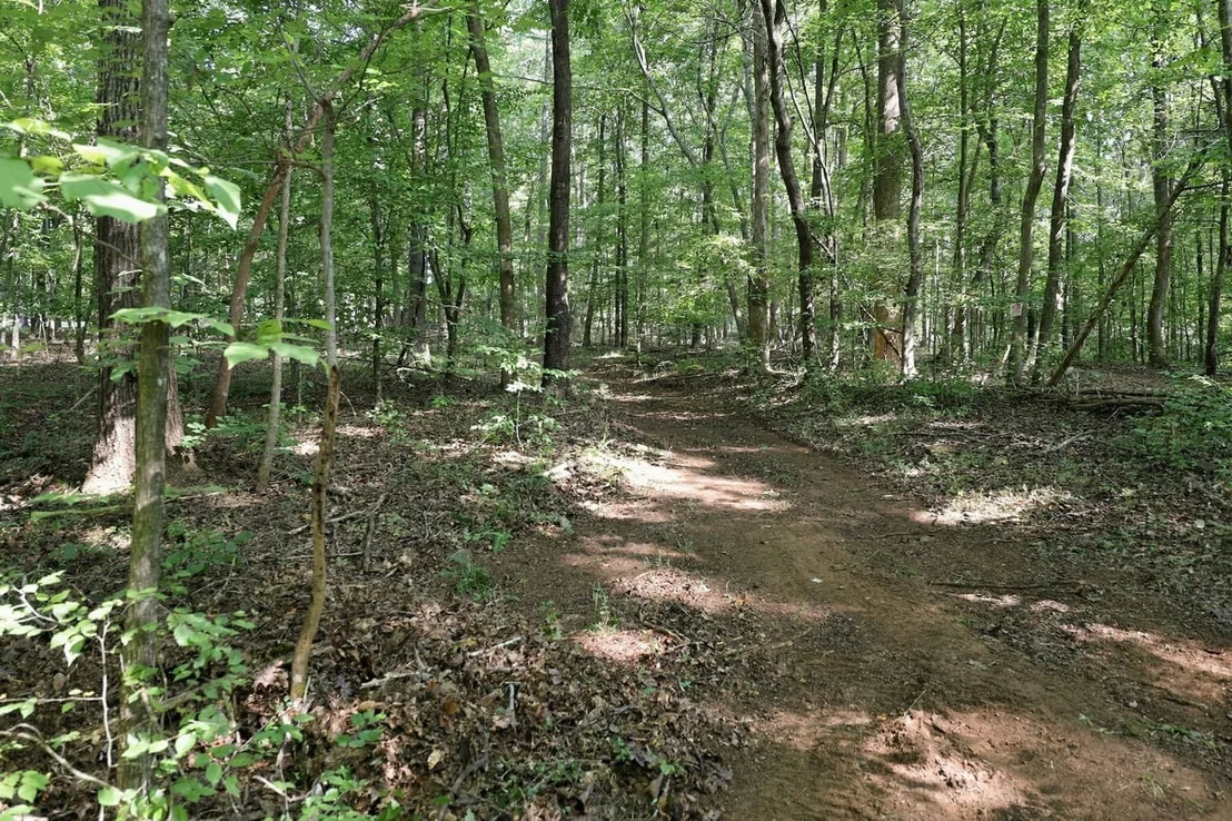 Photo of 4592 Boogaboo Trail
