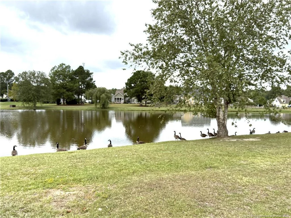 Photo of 38 Saw Grass Court