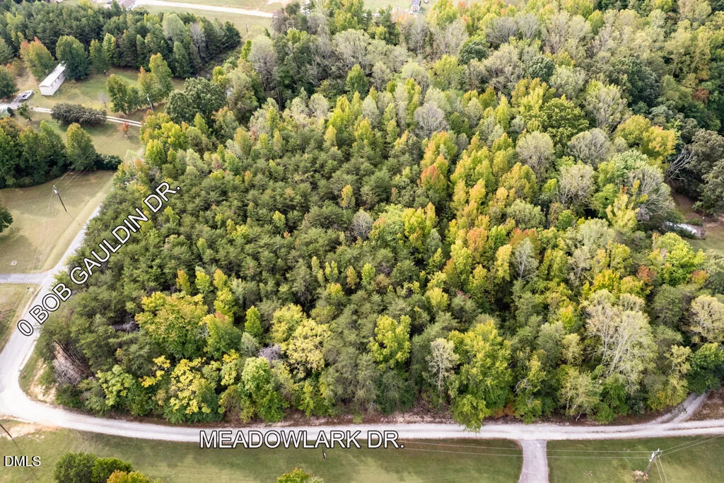 Photo of 0 Bob Gauldin Drive