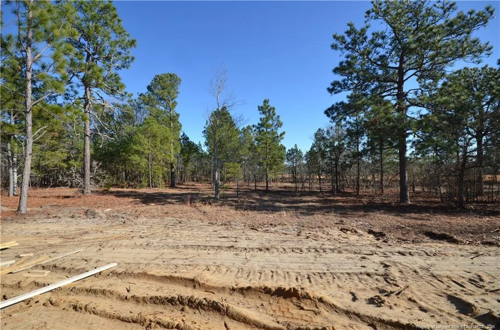 Photo of 270 D L Phillips (Lot 4) Lane