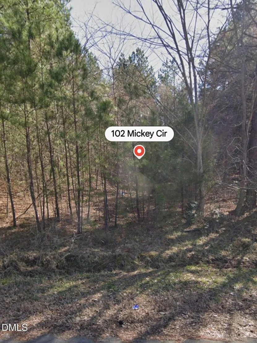 Photo of 102 Mickey Circle