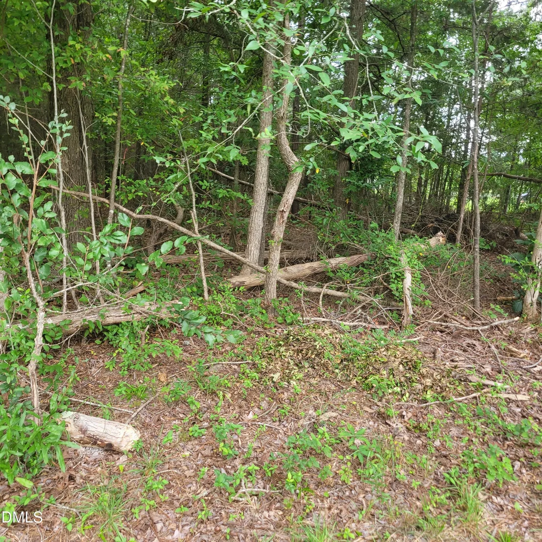 Photo of 00 Highway 49