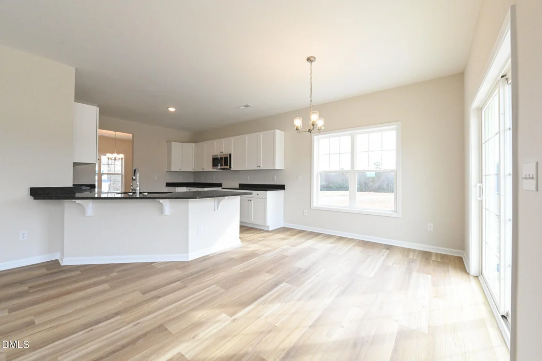 Photo of Unit LOT100 at 423 Black Duck Lane