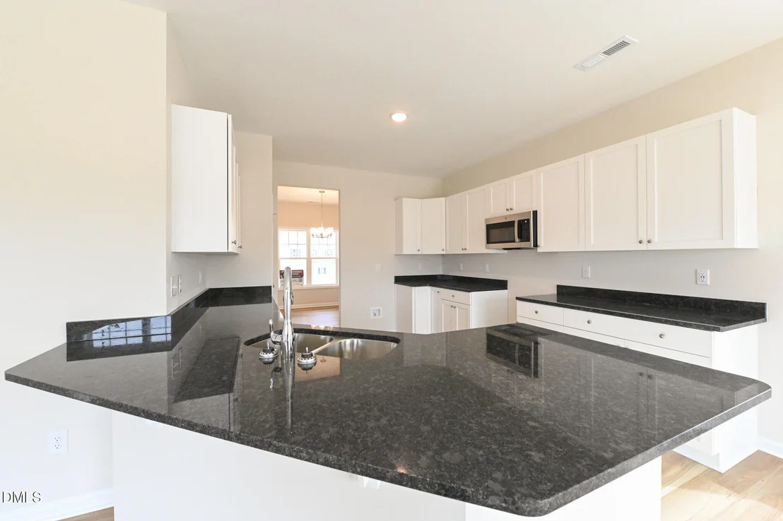 Photo of Unit LOT100 at 423 Black Duck Lane