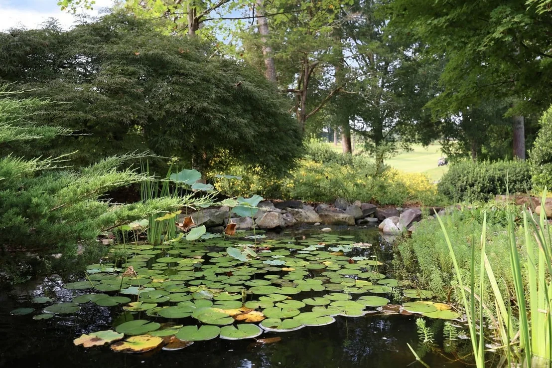 Photo of 3007 Surrey Road