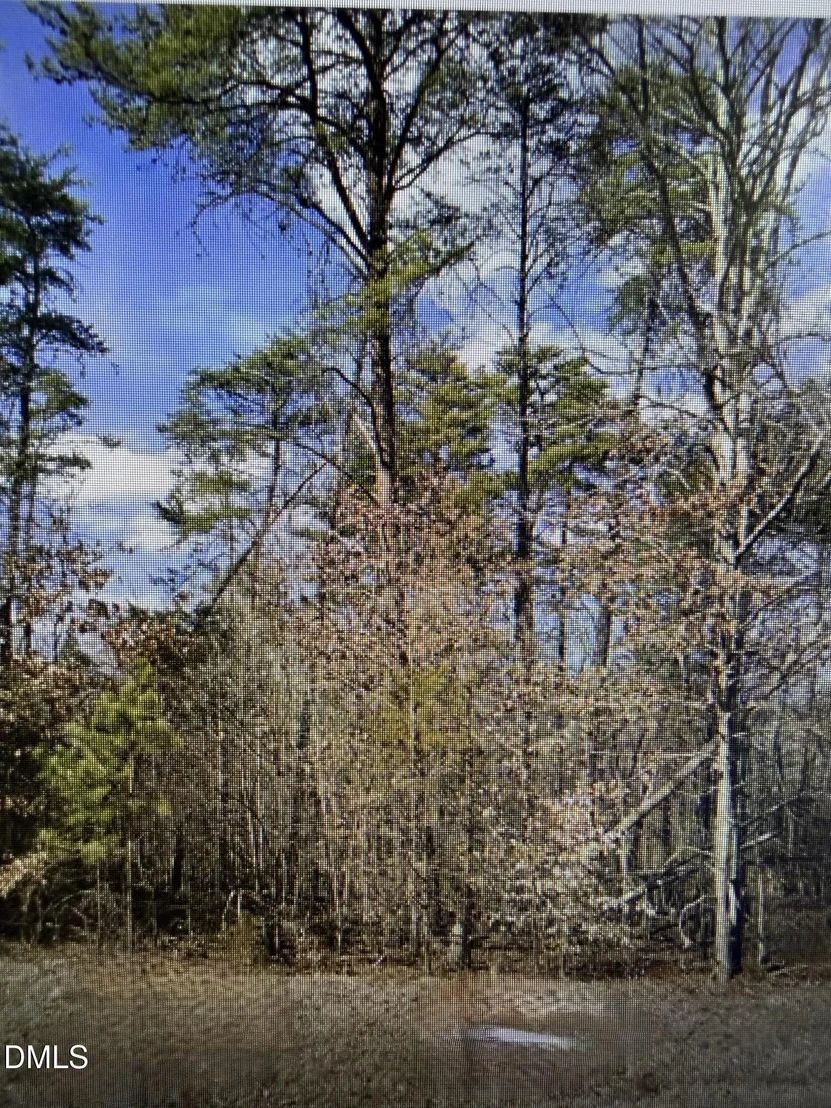 Photo of 11 Lynn Smith Road