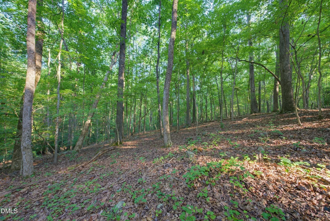 Photo of 100 Sloping Pond Road