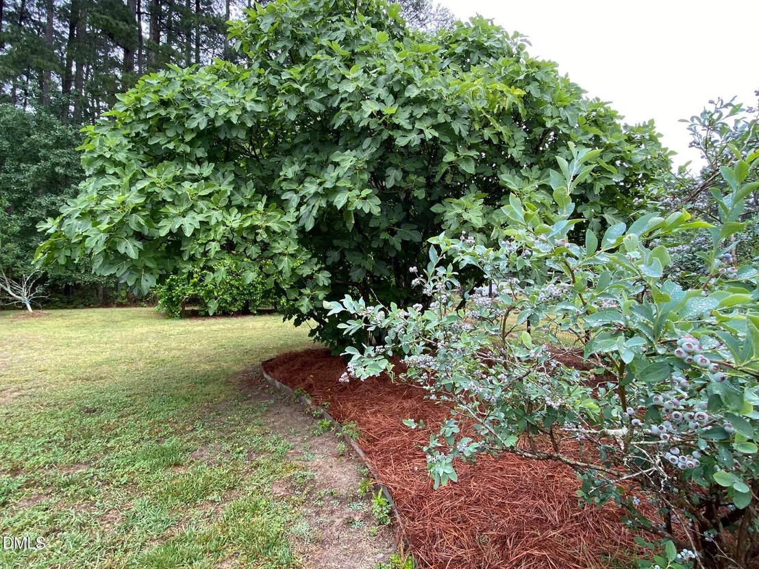 Photo of 2256 Shotwell Road
