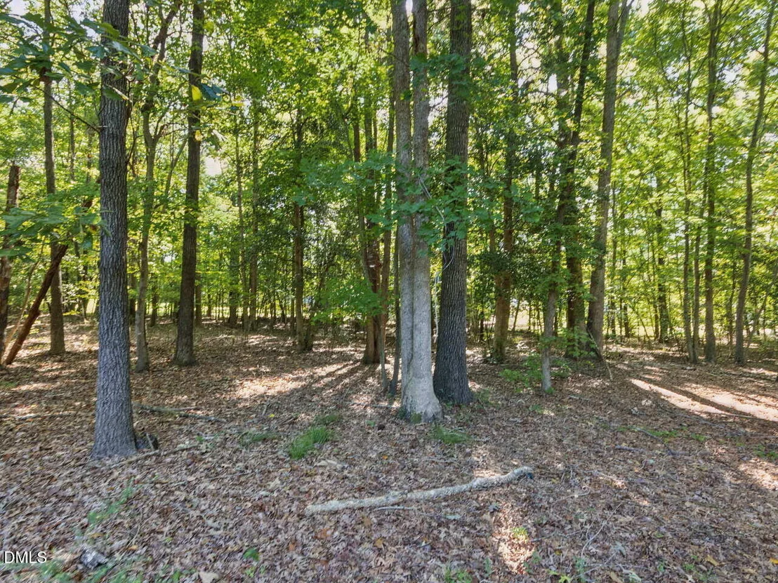 Photo of 4100 Timberbrook Drive