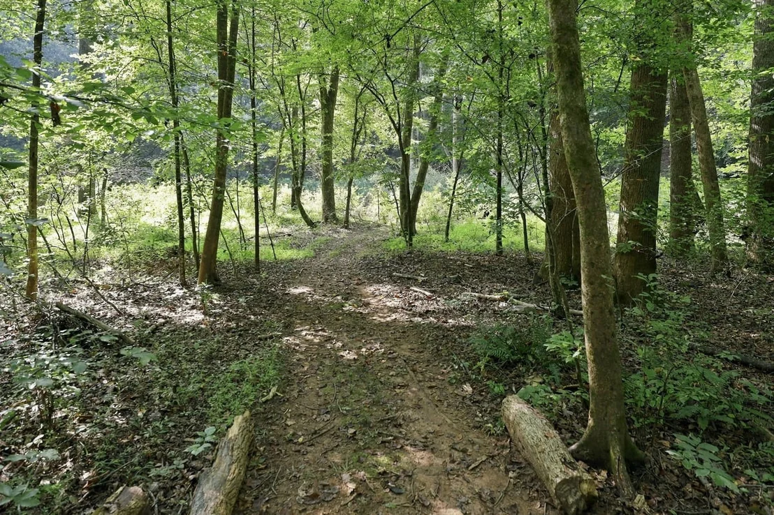 Photo of 4592 Boogaboo Trail