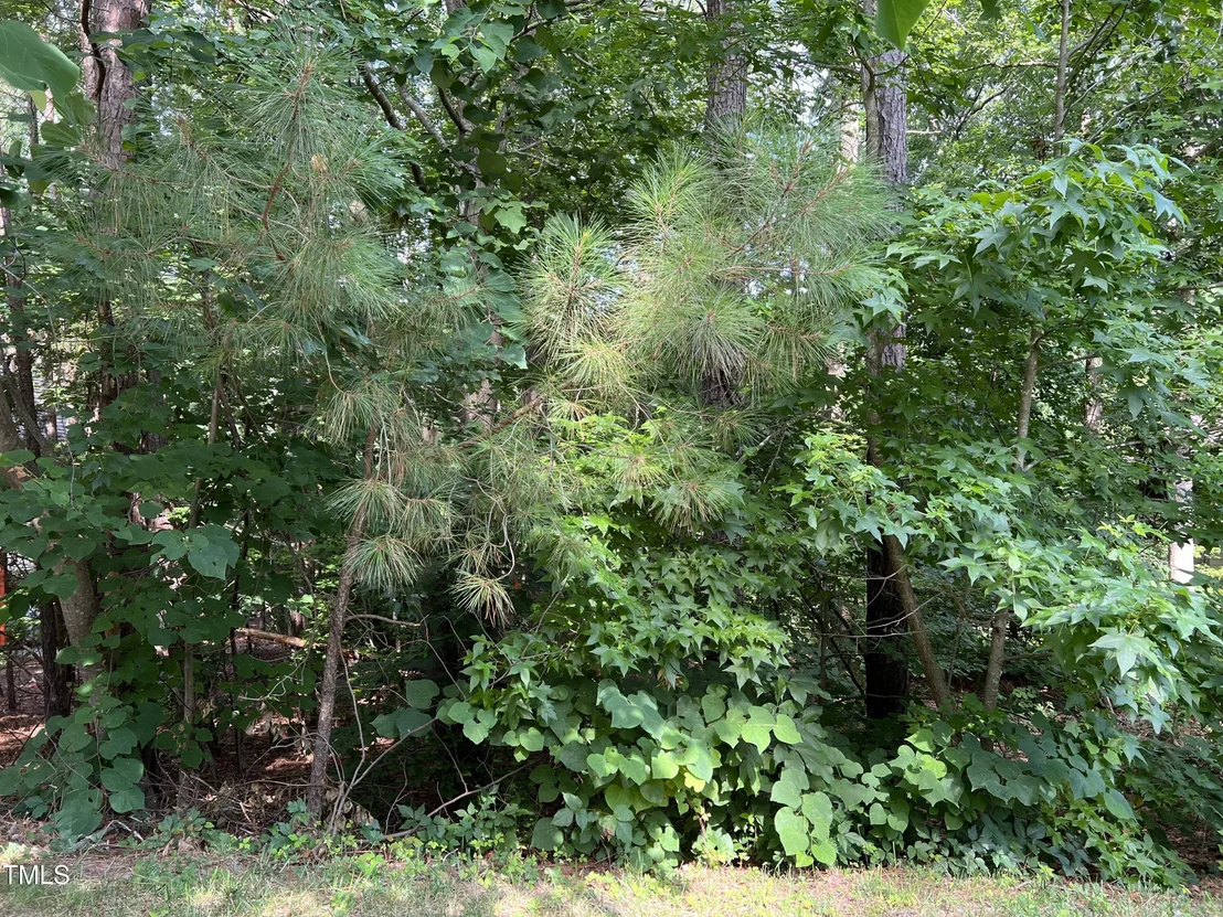 Photo of 19102 Stone Brook