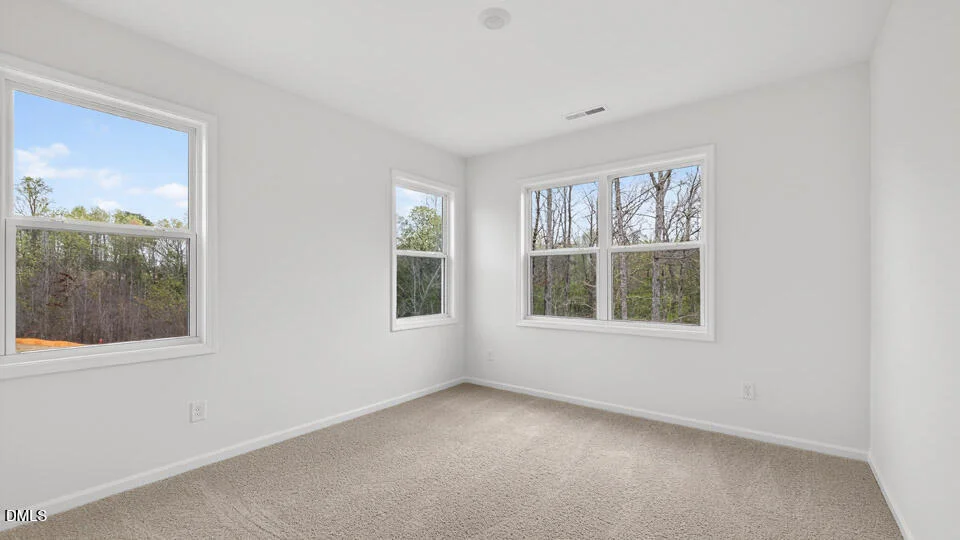 Photo of 54 East Fire Opal Court