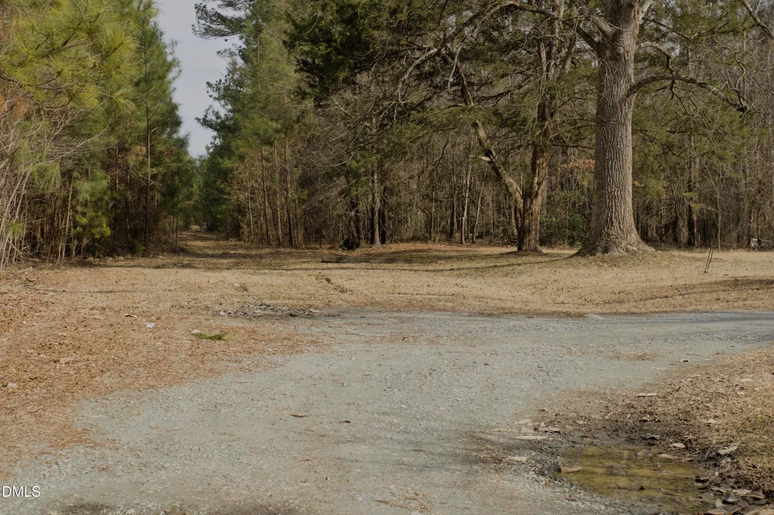 Photo of Lot 00 John Snipes Road