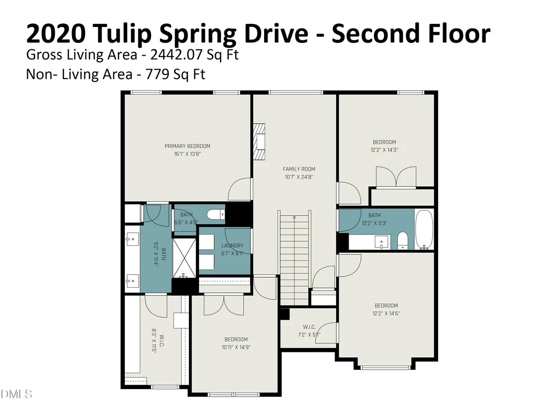 Photo of 2020 Tulip Spring Drive