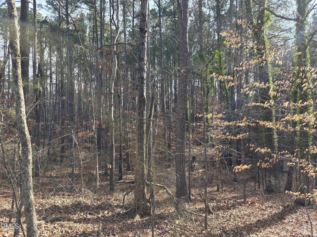 Photo of 906 Ardmore Drive
