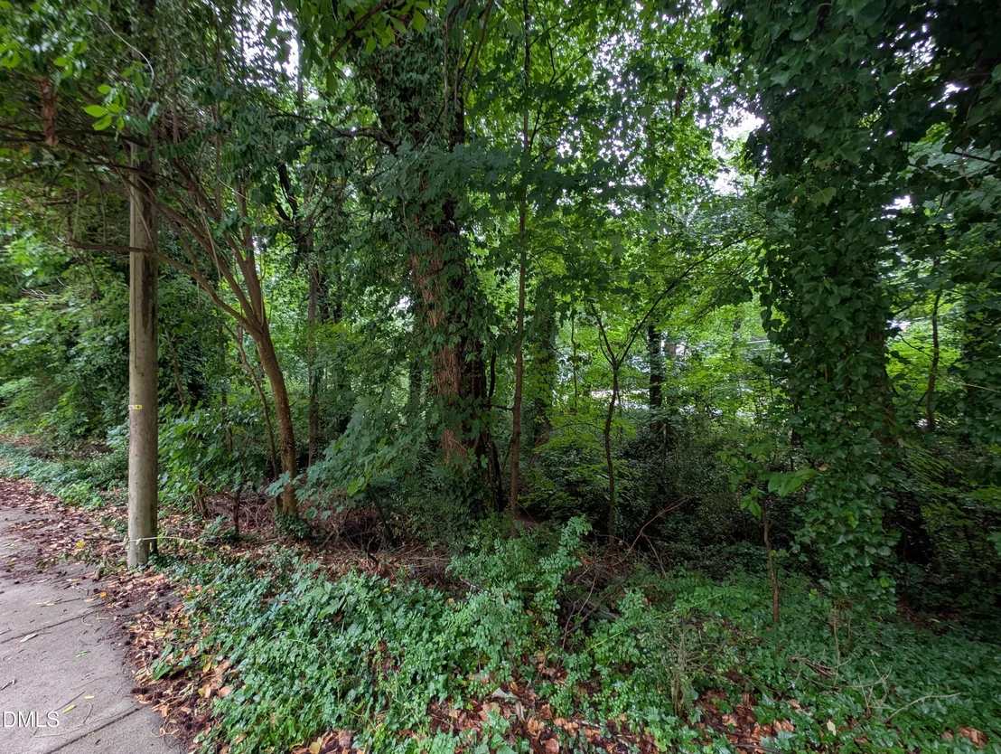 Photo of 333 Willow Street