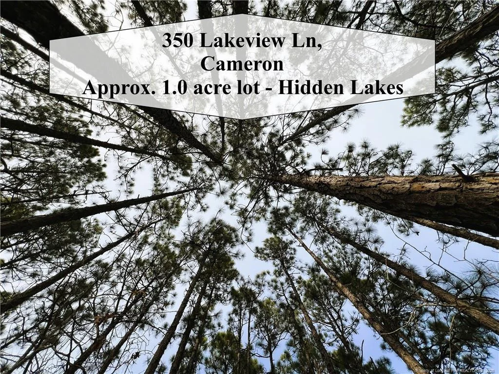 Photo of 350 Lakeview Lane